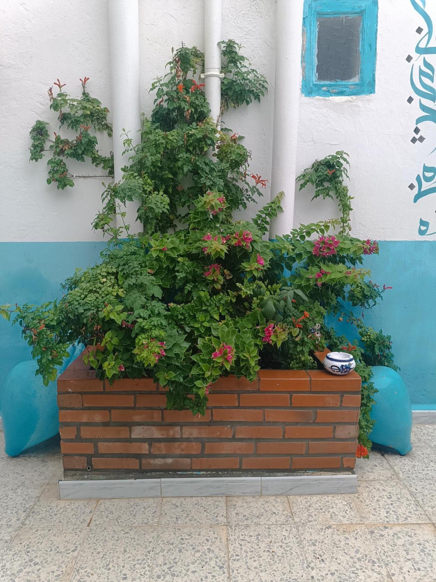 Dar Hkaïem Hotell Hammam Sousse Exteriör bild